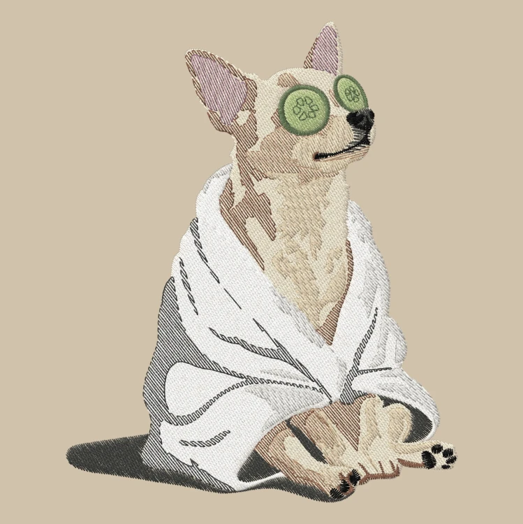 spahuahua.jpg