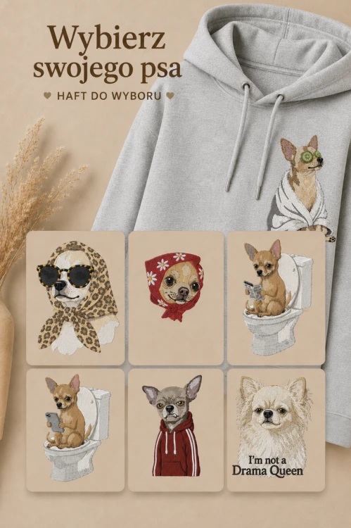 hoodie chihuahua.png